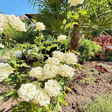 In Ralitsa, דירה